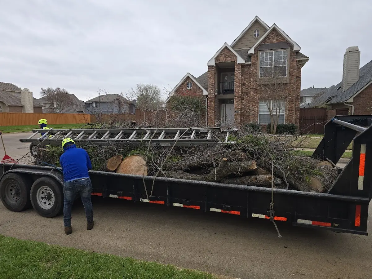 Expert Tree Pest Control with proper safety equipment in Manistee